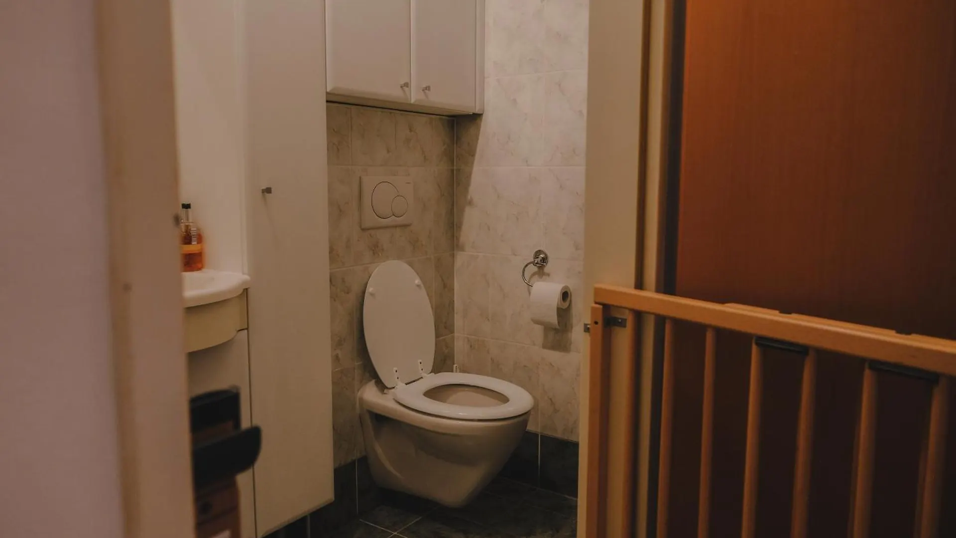 Terrace Apartment Near Volksoper And City Centre Vienna Austria
